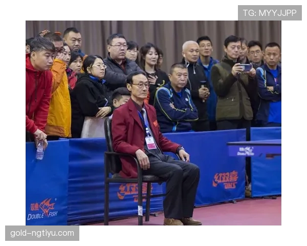 比赛用球合格标志与裁判更换流程规则解析