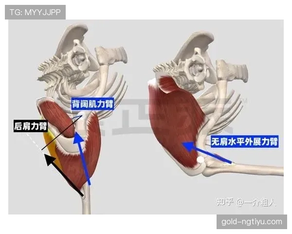 身体冲撞犯规判定要点：肩对肩、抢球意图与过当用力